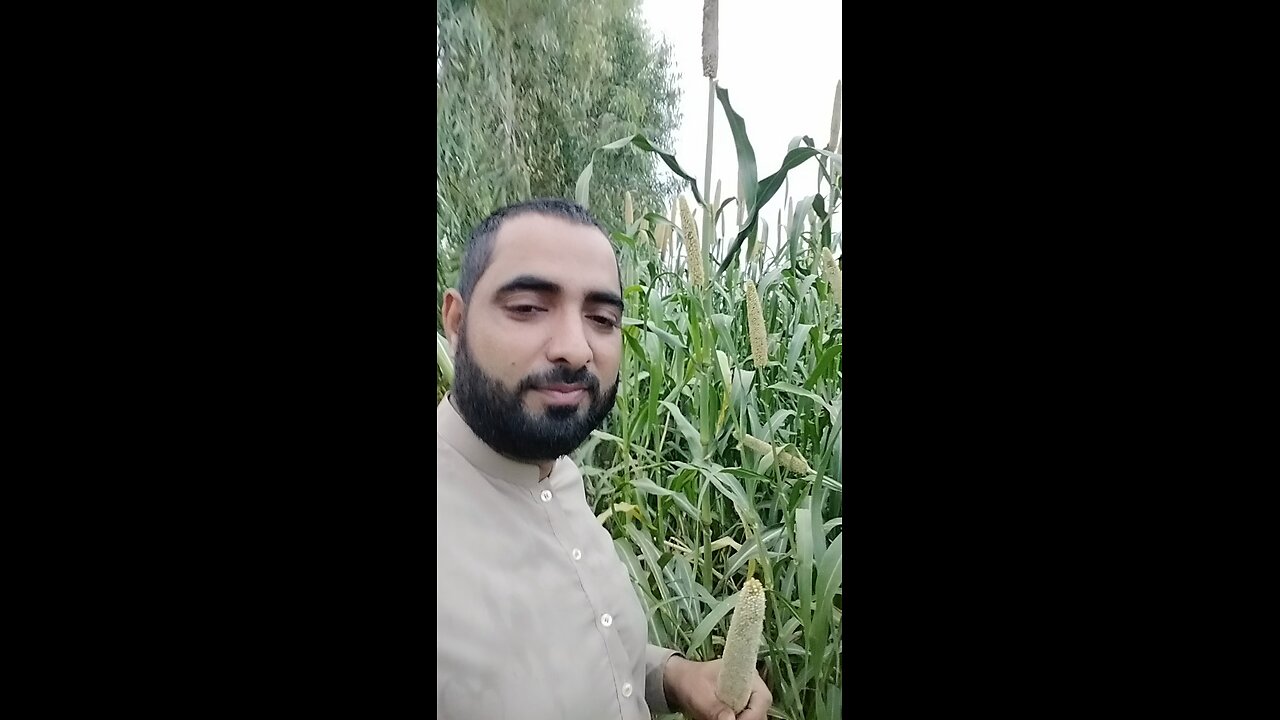 "A Peaceful Day in the Fields | Village Vlog"
