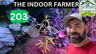 The Indoor Farmer ep203, Everybody Has To Eat. What Does It Take To do It Yourself? Let's Grow
