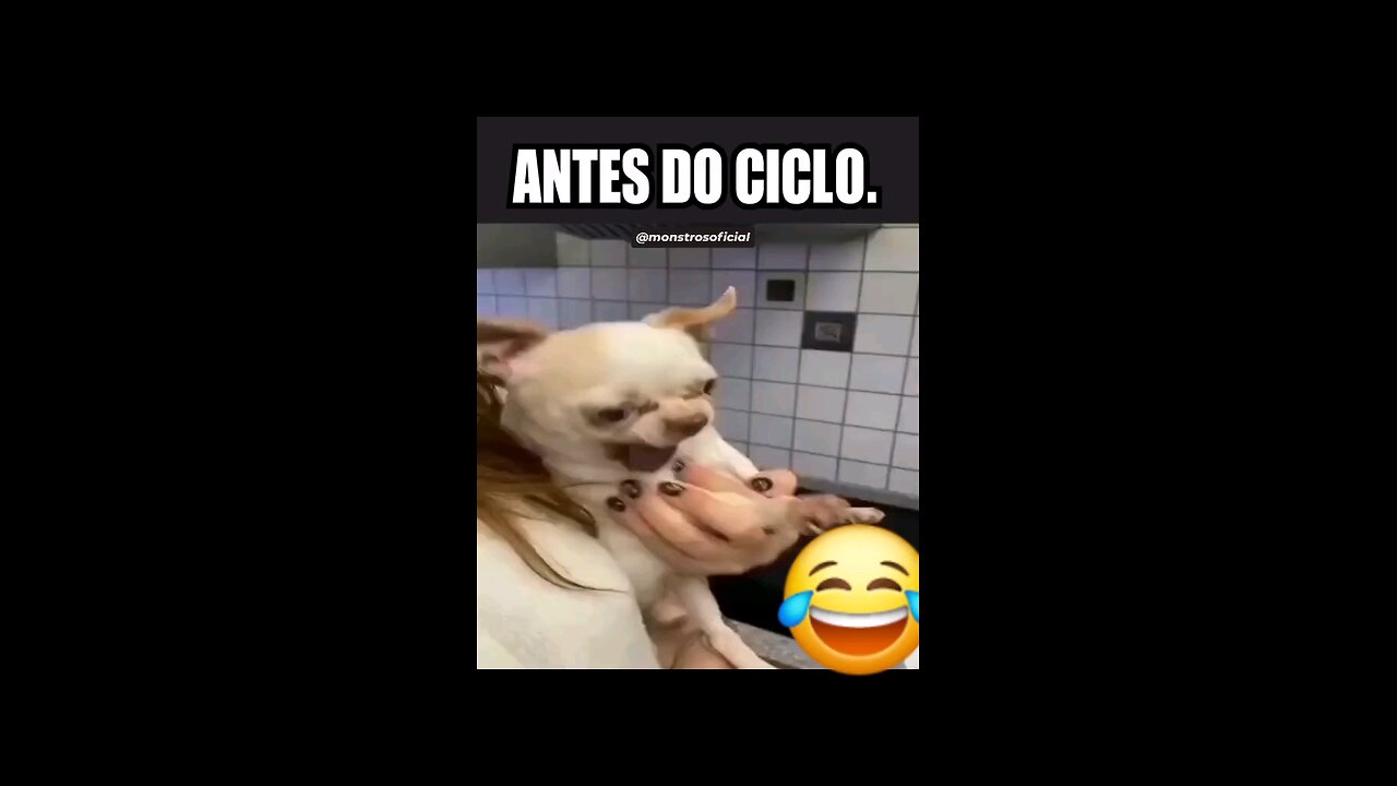 Ciclo de testosterona.