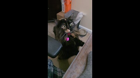 Morning greetings from Pepperoncini