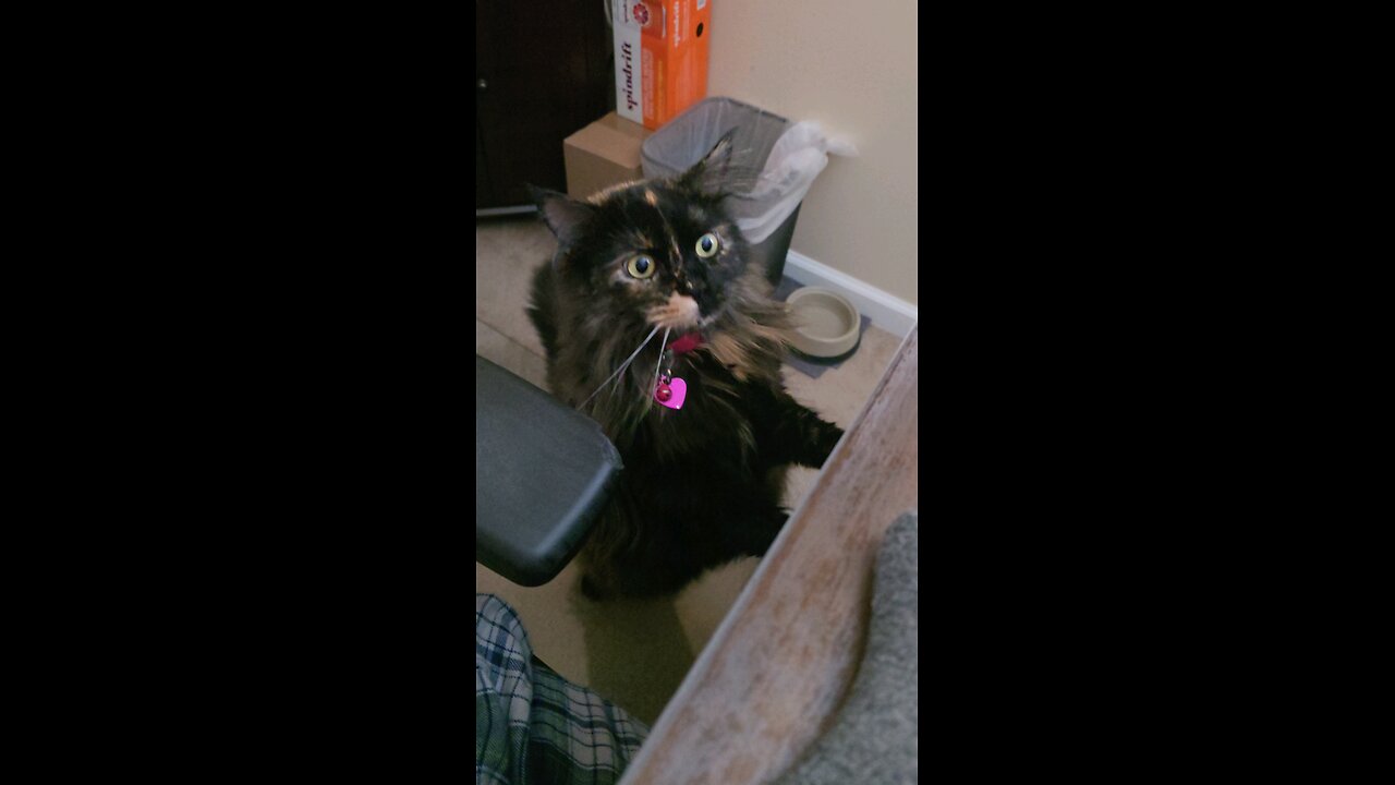 Morning greetings from Pepperoncini