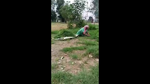 satisfying Video