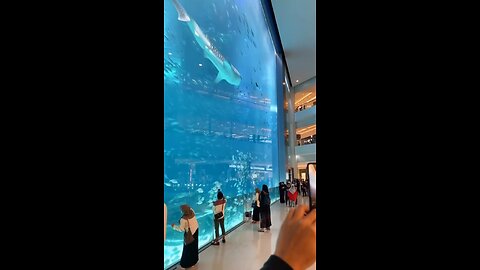 Sometimes you just need to stop and admire the beauty of another world beneath the waves 🌊🐠💙
