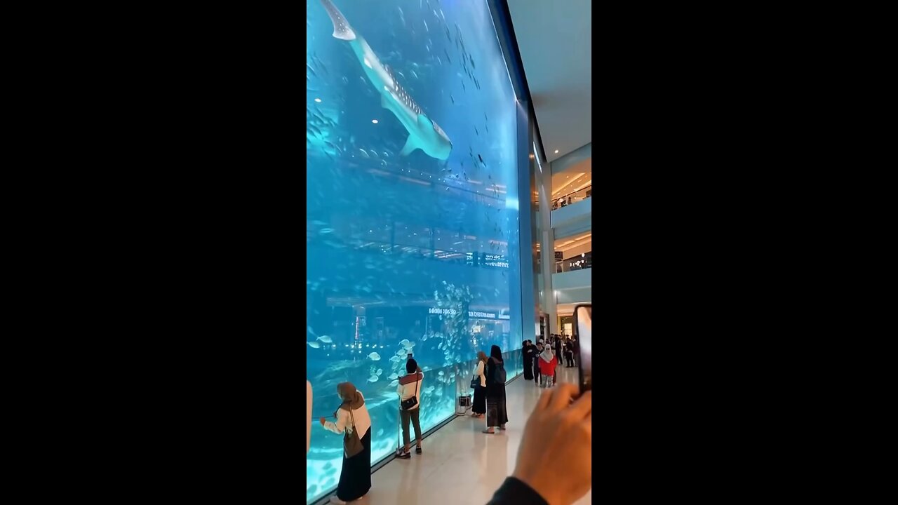 Sometimes you just need to stop and admire the beauty of another world beneath the waves 🌊🐠💙