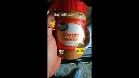 kill mice safe for animals