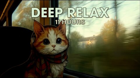 A Cat in A Bus | Soothing Bus and Purring Sounds | ASMR for Deep Sleep | Study, Work, Focus Ambience