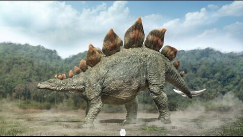 The Stegosaurus