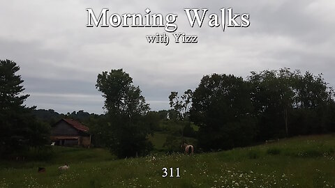 Morning Walks with Yizz 311