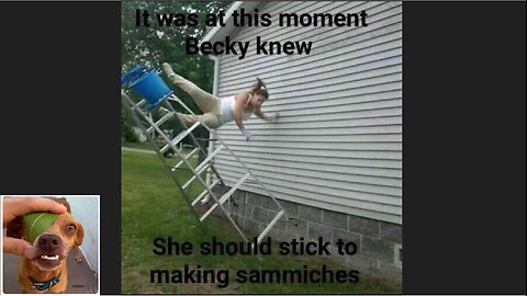 Memes That Will 99.0269% Make You Laugh. (e493)