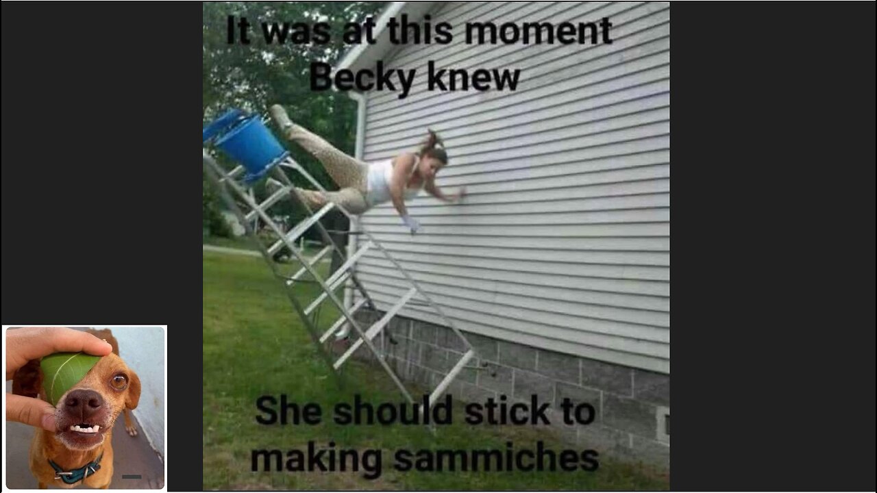 Memes That Will 99.0269% Make You Laugh. (e493)