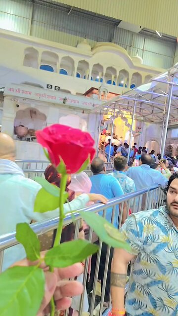 ek phool gulab ka laya hun