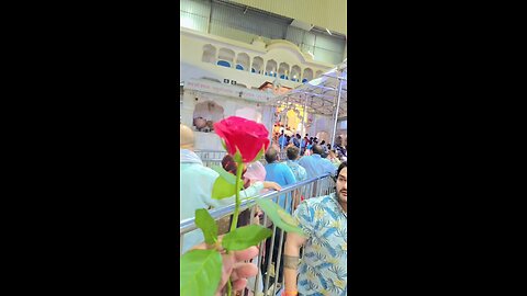 ek phool gulab ka laya hun