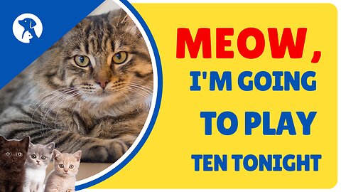 Meow, I'm going to play ten tonight💪💪💪