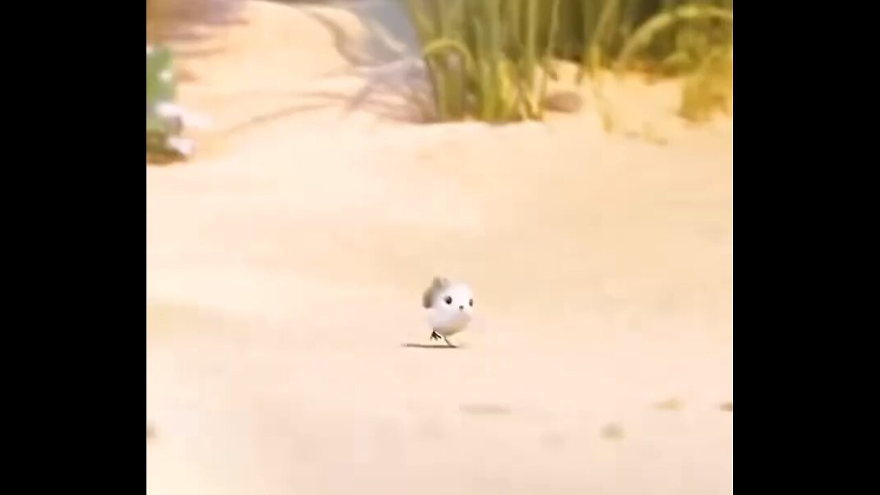 #BIRD#CUTE