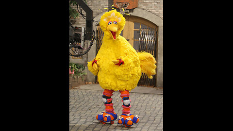 ~Big Bird Did Not Do 911~