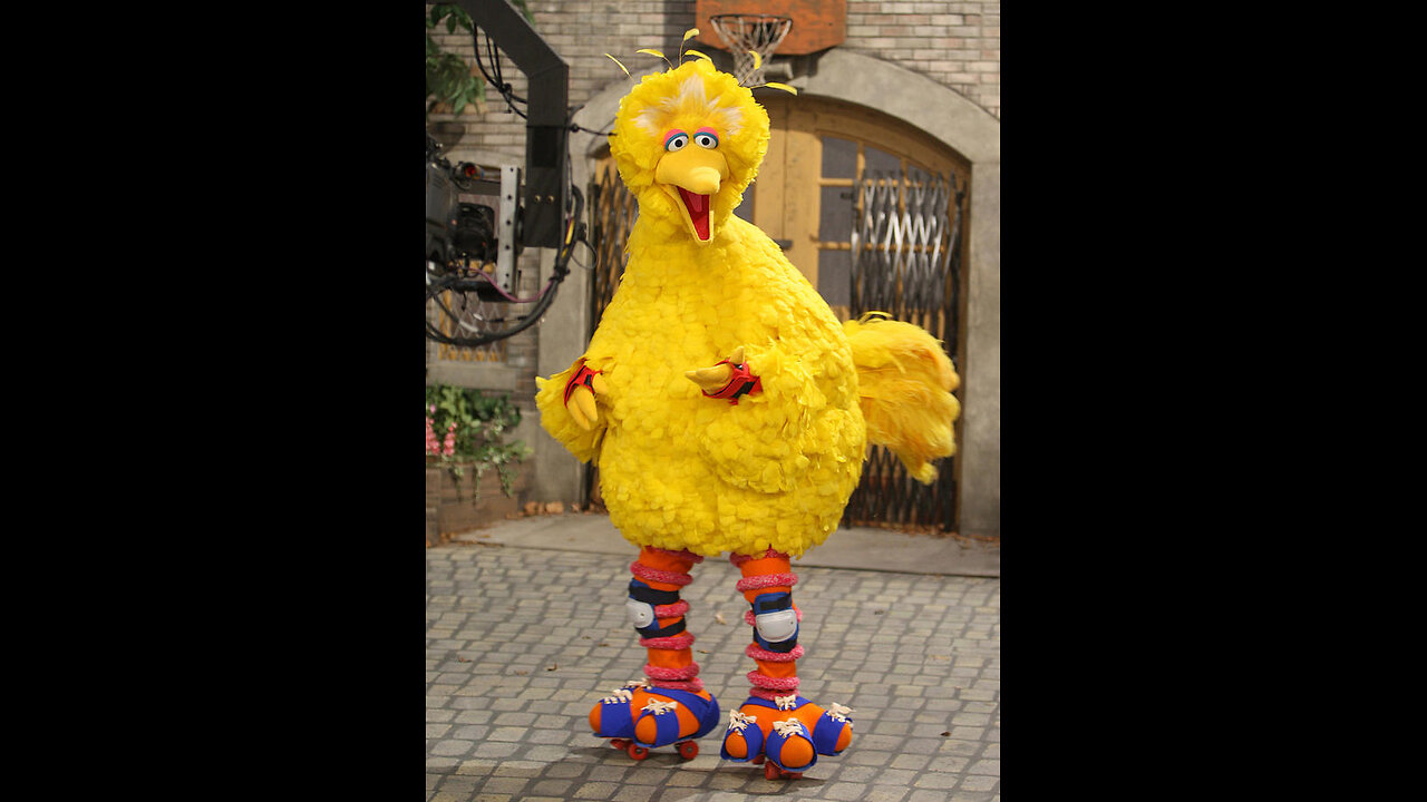 ~Big Bird Did Not Do 911~