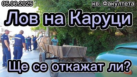 Лов на Каруци в кв. "Факултета" район "Красна поляна"! Ще се откажат ли? Кой да се откаже?