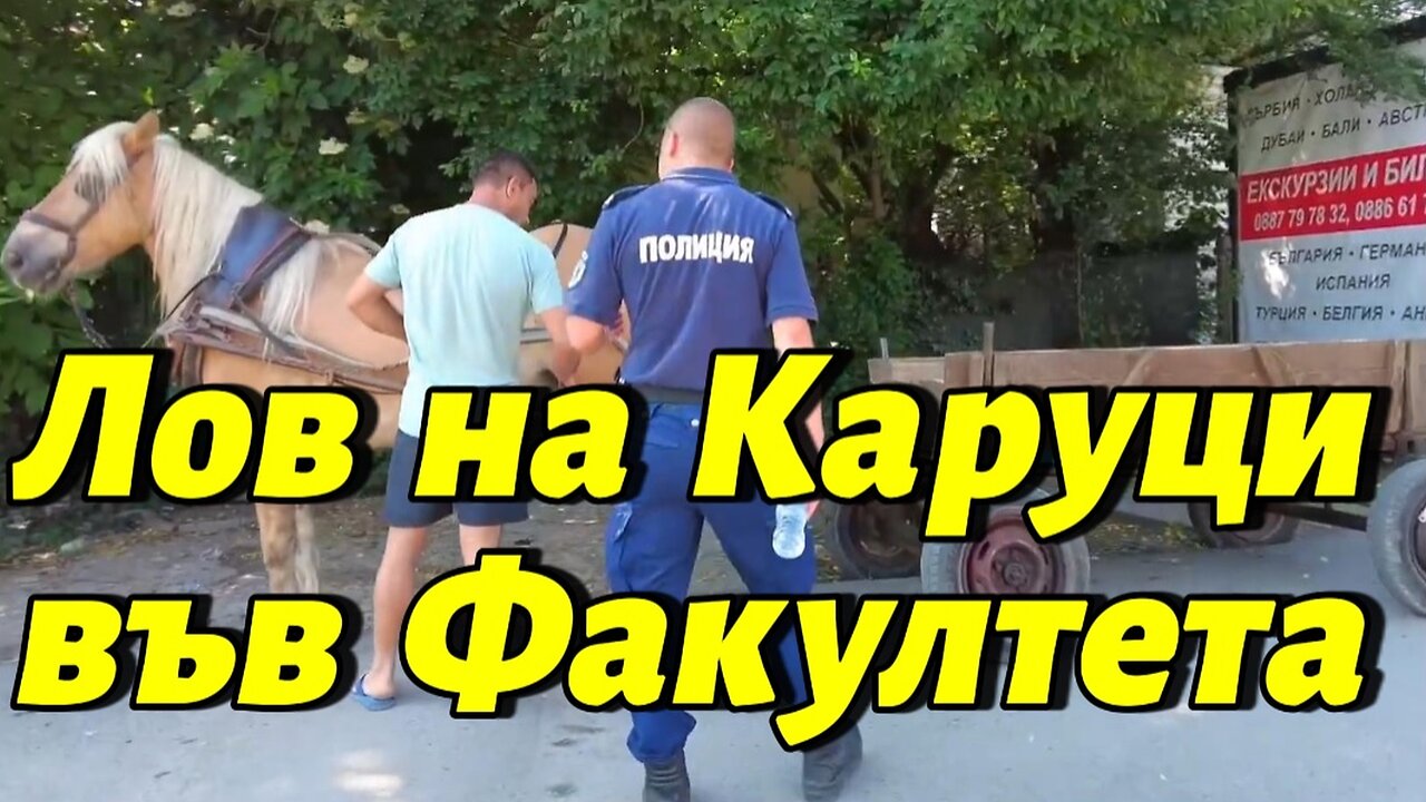 Лов на Каруци в кв. "Факултета" район "Красна поляна"! Ще се откажат ли? Кой да се откаже?