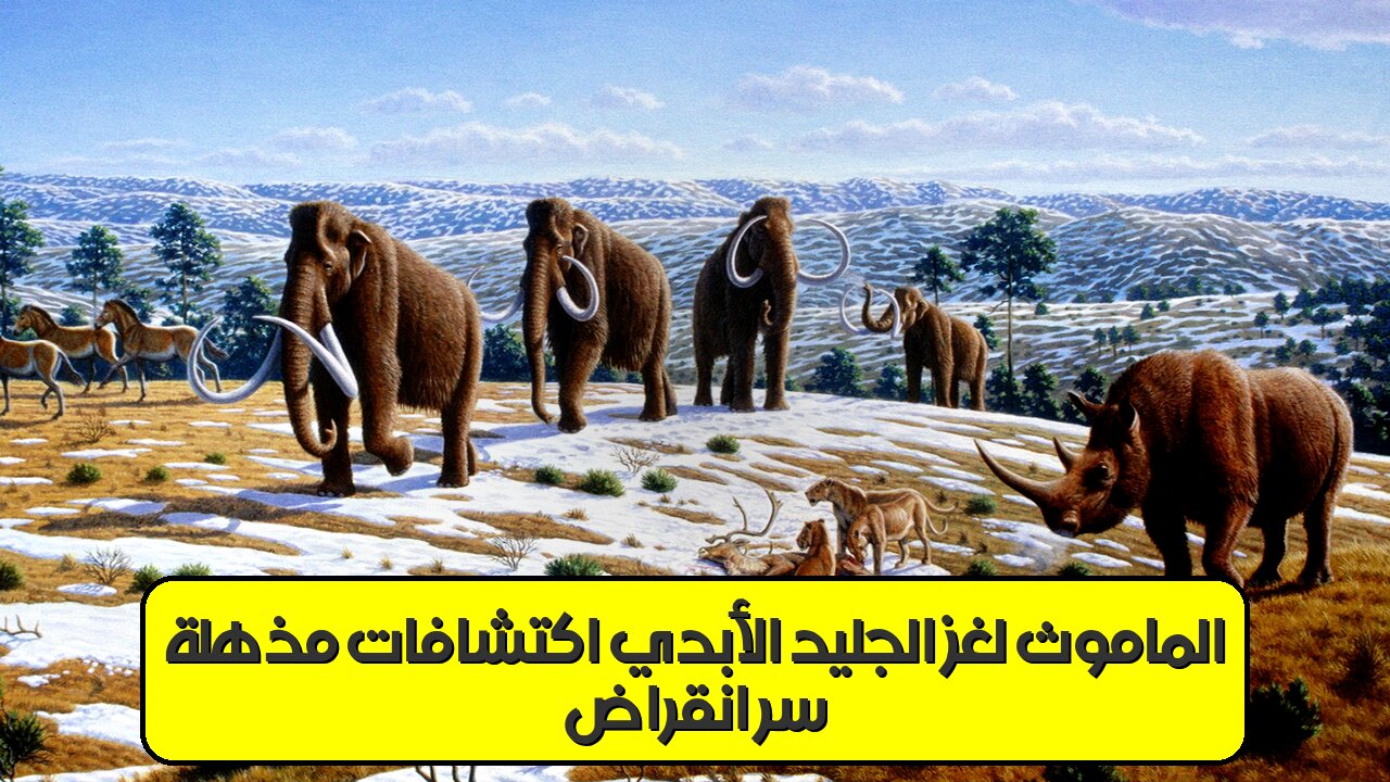 سر انقراض الماموث : لغز الجليد الأبدي! اكتشافات مذهلة ❄️ #ماموث #جليد_أبدي #انقراض