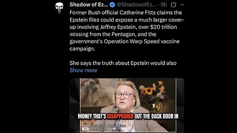 Catherine Fitts claims the Epstein files could expose a much larger cover-up involving Jeffrey Epstein, over $20 trillion missing