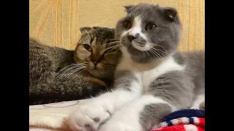 Love looks