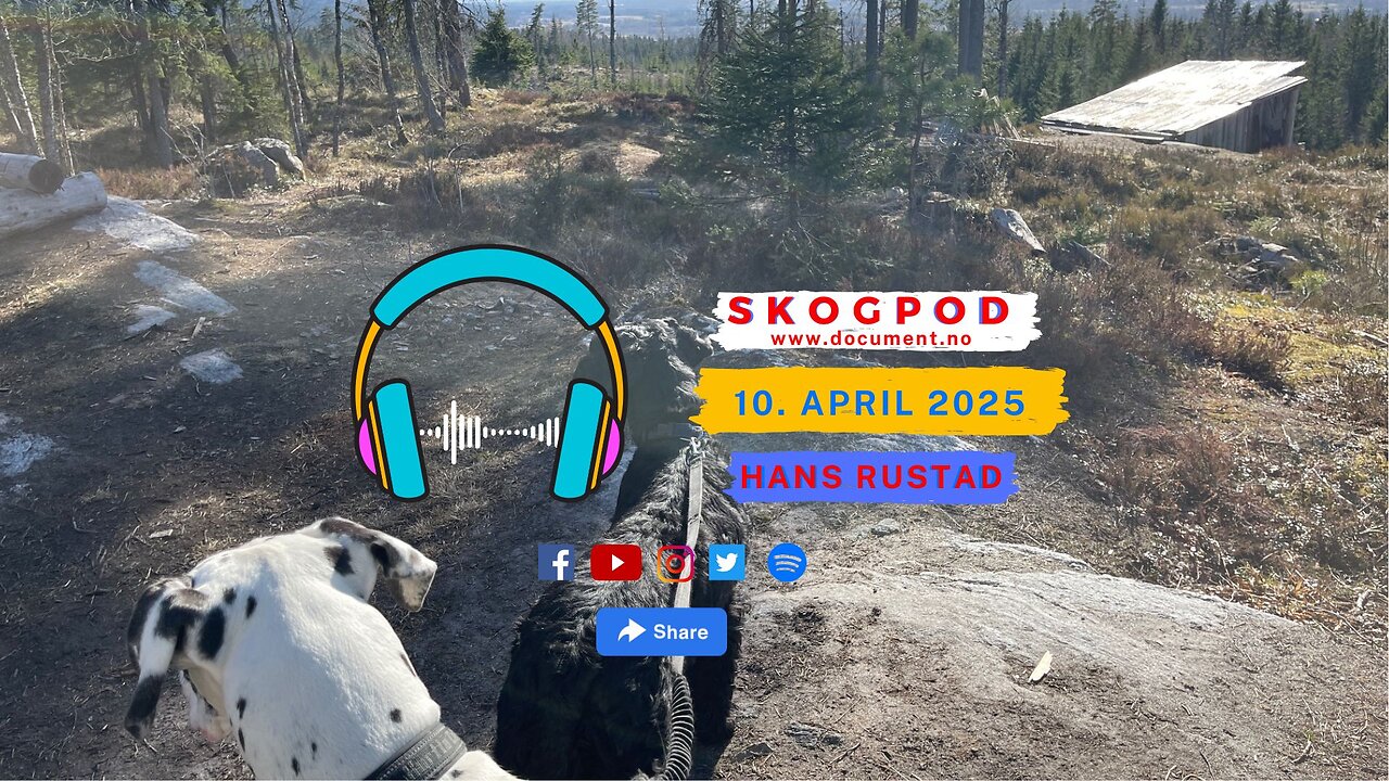 Skogpod 10. april 2025
