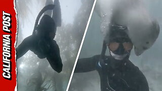 SoCal diver befriends affectionate seal named 'Waffles'
