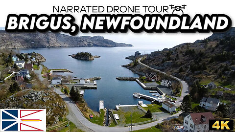🏘️ Brigus, Newfoundland & Labrador 🌊 4K Drone
