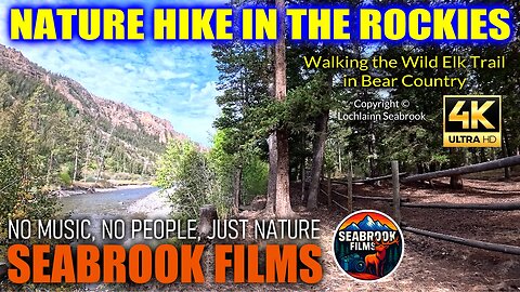 Nature Hike in the Rockies: Walking the Wild Elk Trail in Bear Country