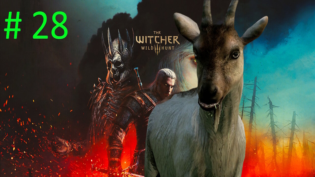 Let's Play Witcher 3 Wild Hunt BLIND # 28 🐐A Princess In Distress🐐