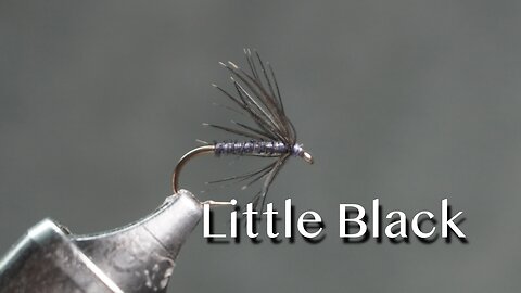 Little Black: a T. E. Pritt north-country fly