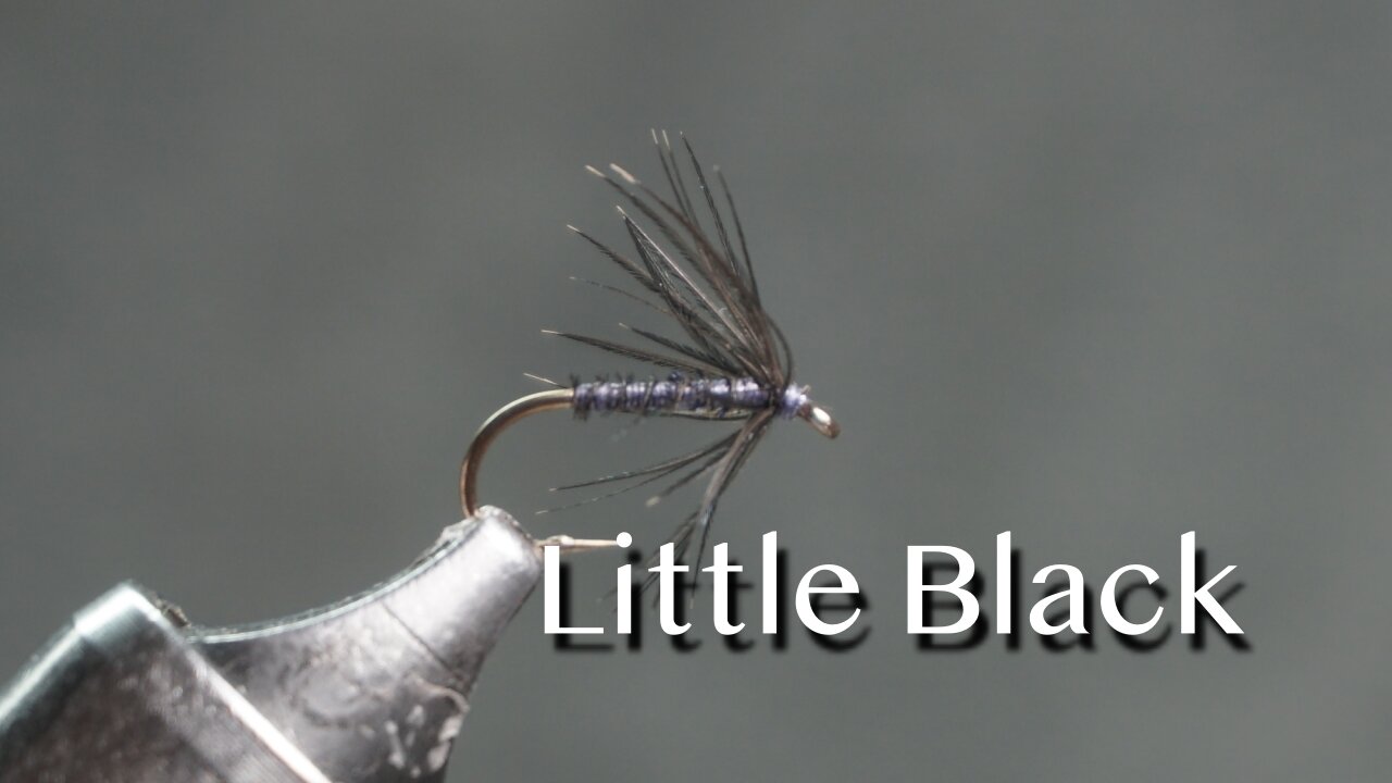Little Black: a T. E. Pritt north-country fly