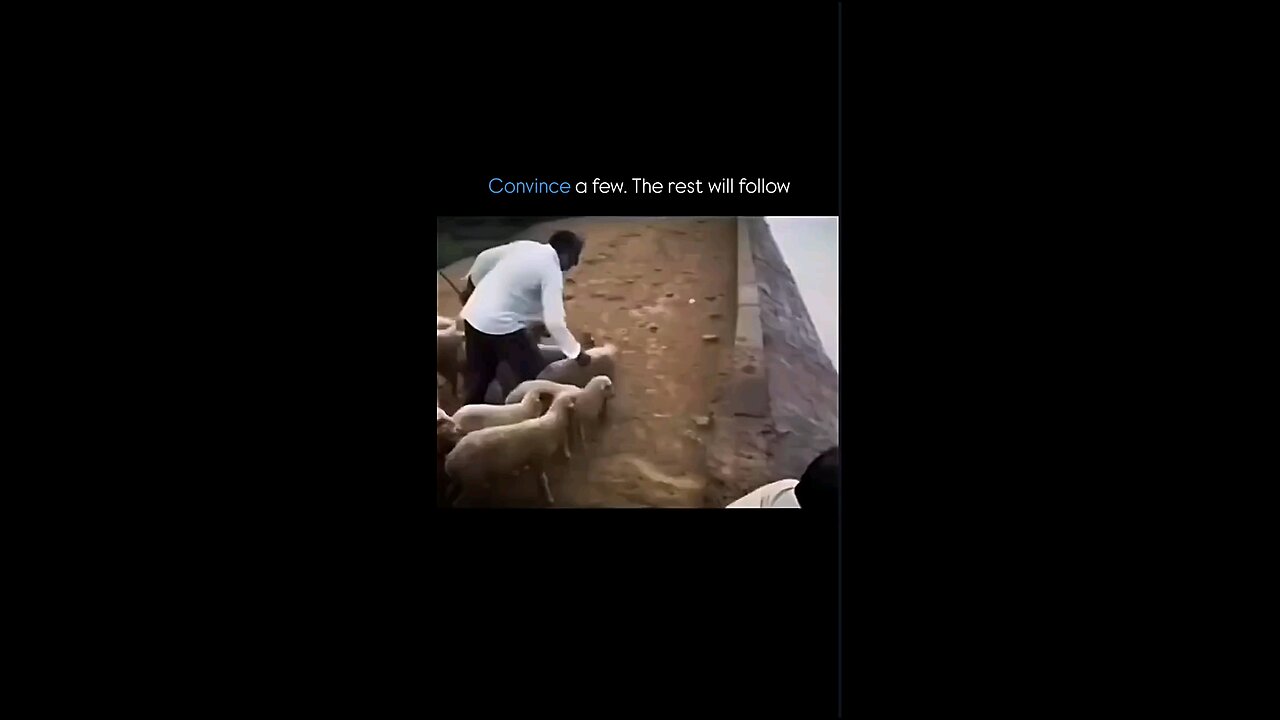 Convince few...they'll follow you