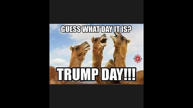 Brought to you By.......Wwg1wgA