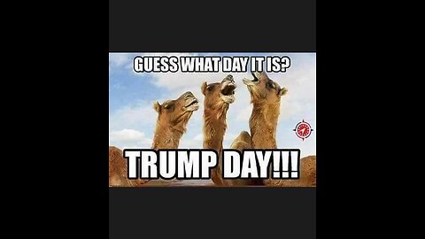 Brought to you By.......Wwg1wgA