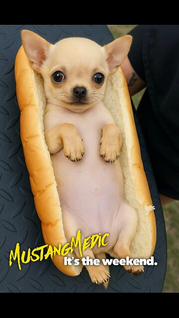 Enjoy your Saturday.