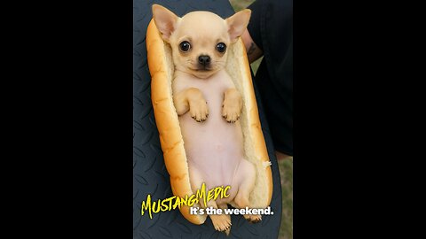 Enjoy your Saturday.