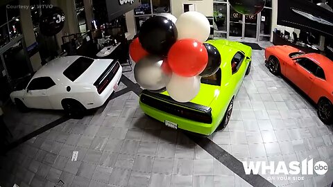 Thieves caught on camera stealing expensive cars
