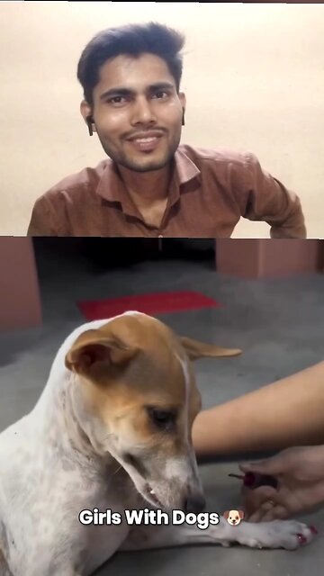 Girl with Dog Vs Boys With Dog