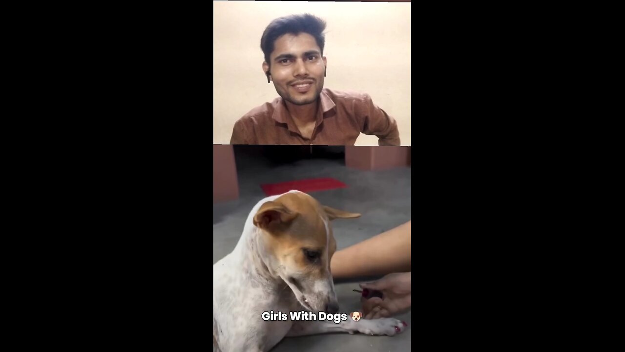 Girl with Dog Vs Boys With Dog
