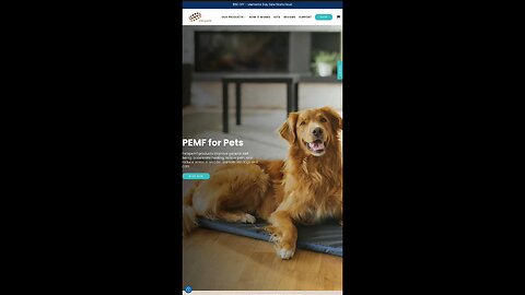 Dog Lover's