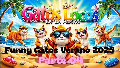 Funny Gatos Verano 2025 Parte04