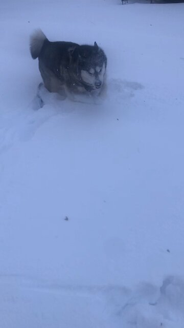 Friday January 23, Through Christ you have come to trust God