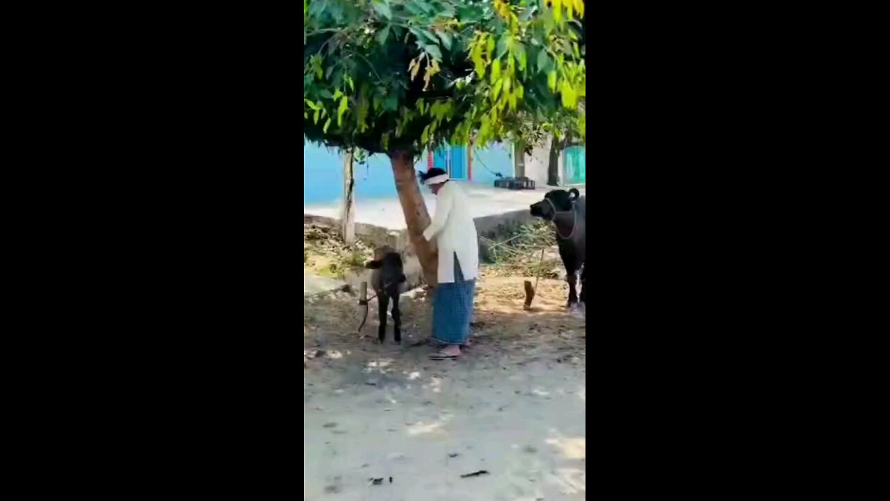 joke