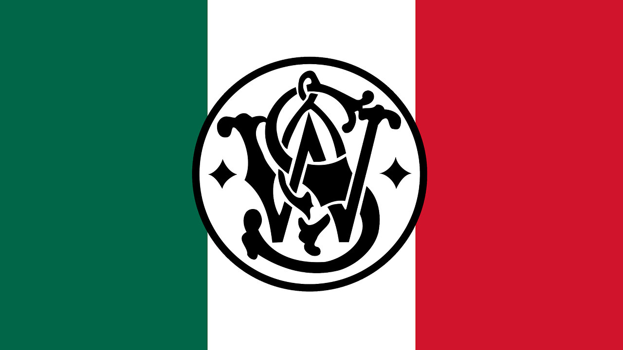 Mexico vs U.S. Gun Manufacturers - Arguments for Respondents
