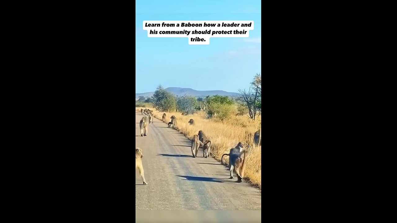 A Leader and his Community