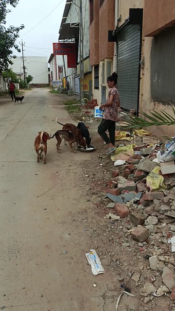 jivdaya mehsana 🥰🌹🥰🥰