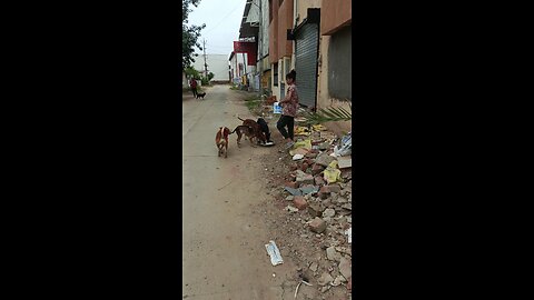 jivdaya mehsana 🥰🌹🥰🥰