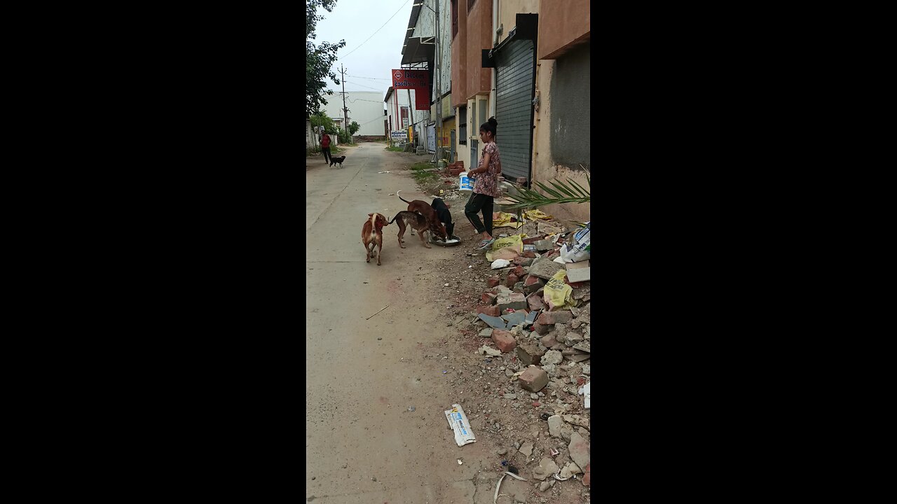 jivdaya mehsana 🥰🌹🥰🥰