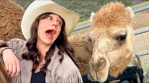 Living With a Camel 3 Days!